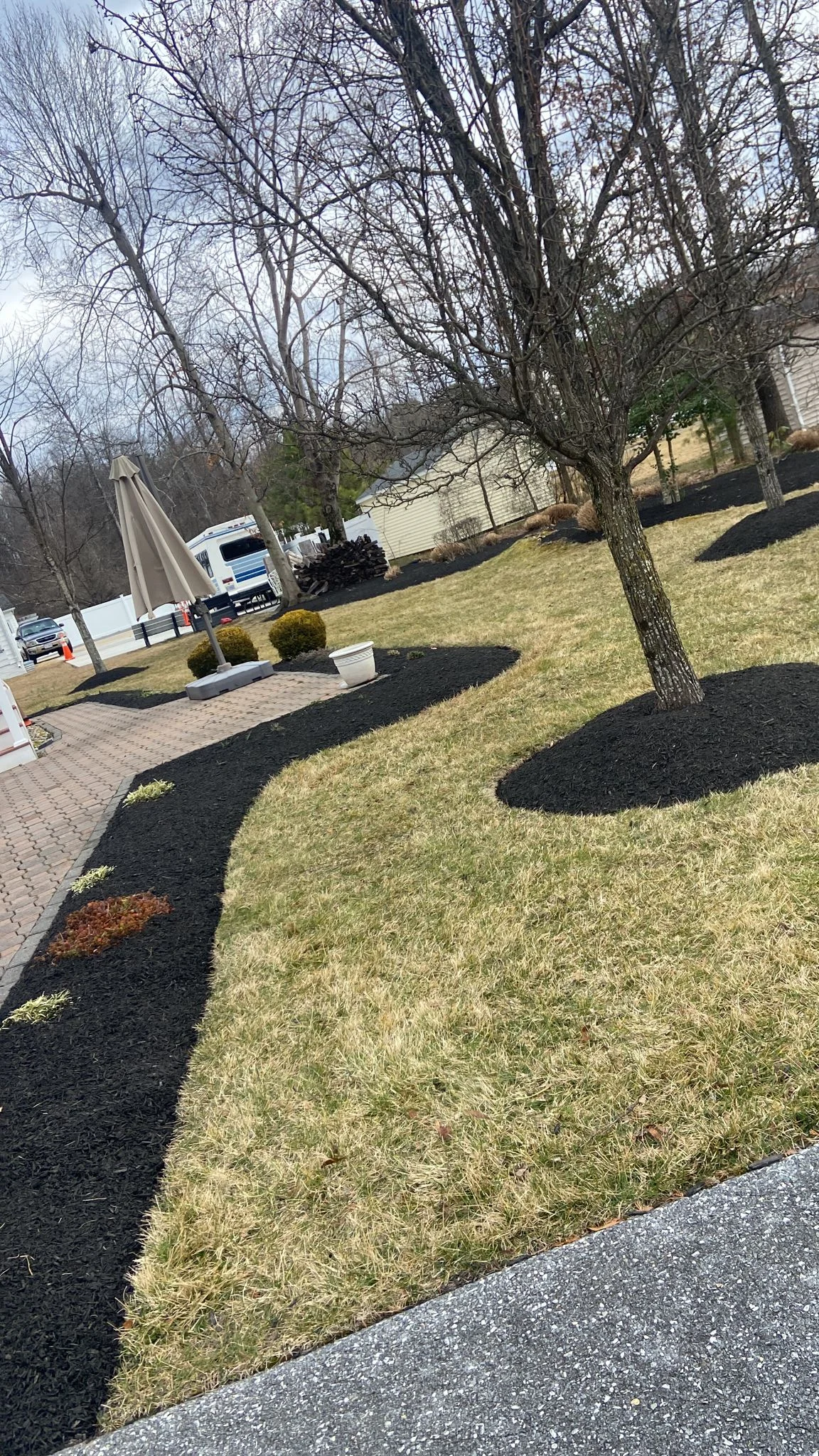 Seasonal Cleanup in Potomac, MD