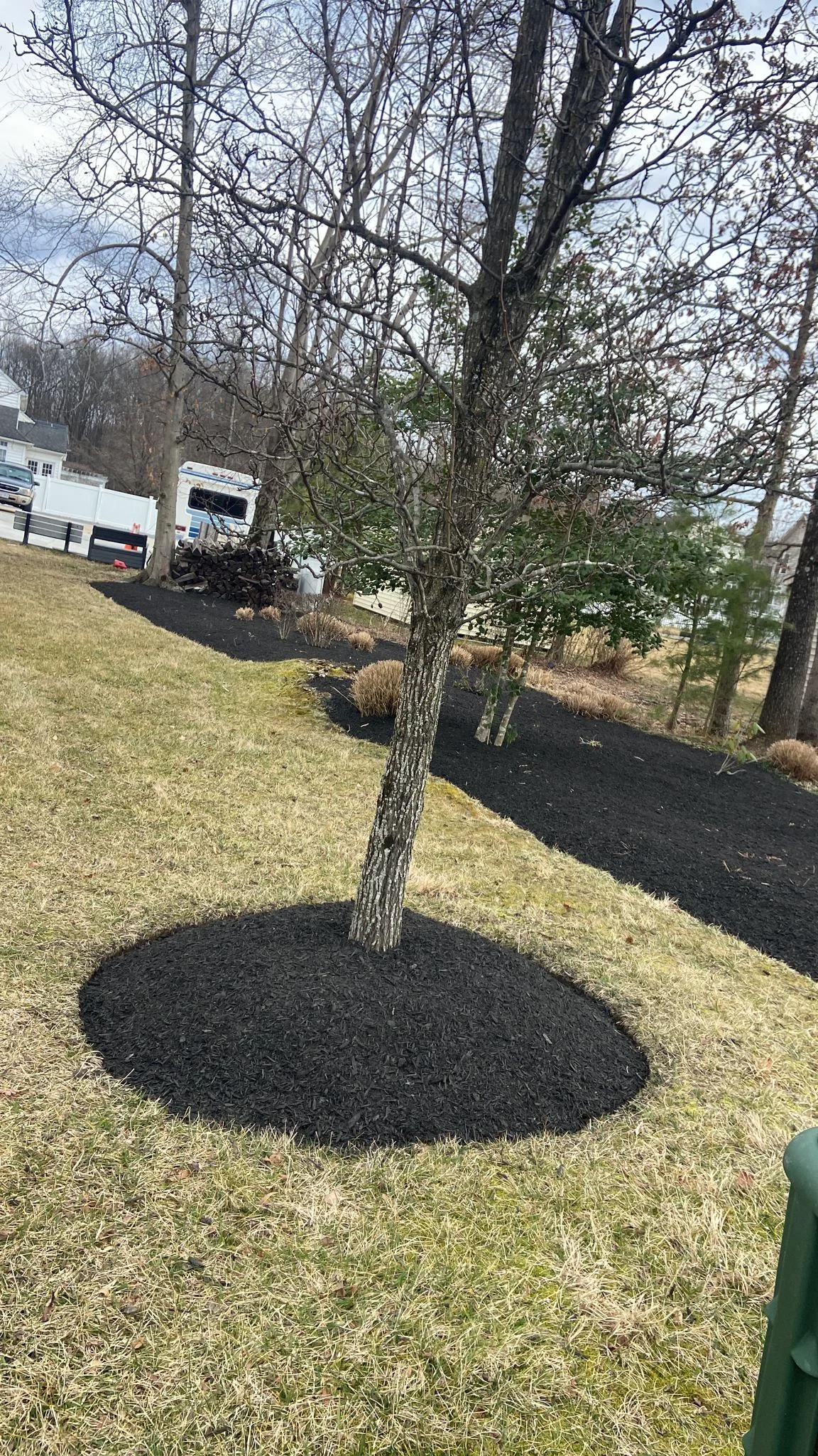 Seasonal Cleanup in Potomac, MD