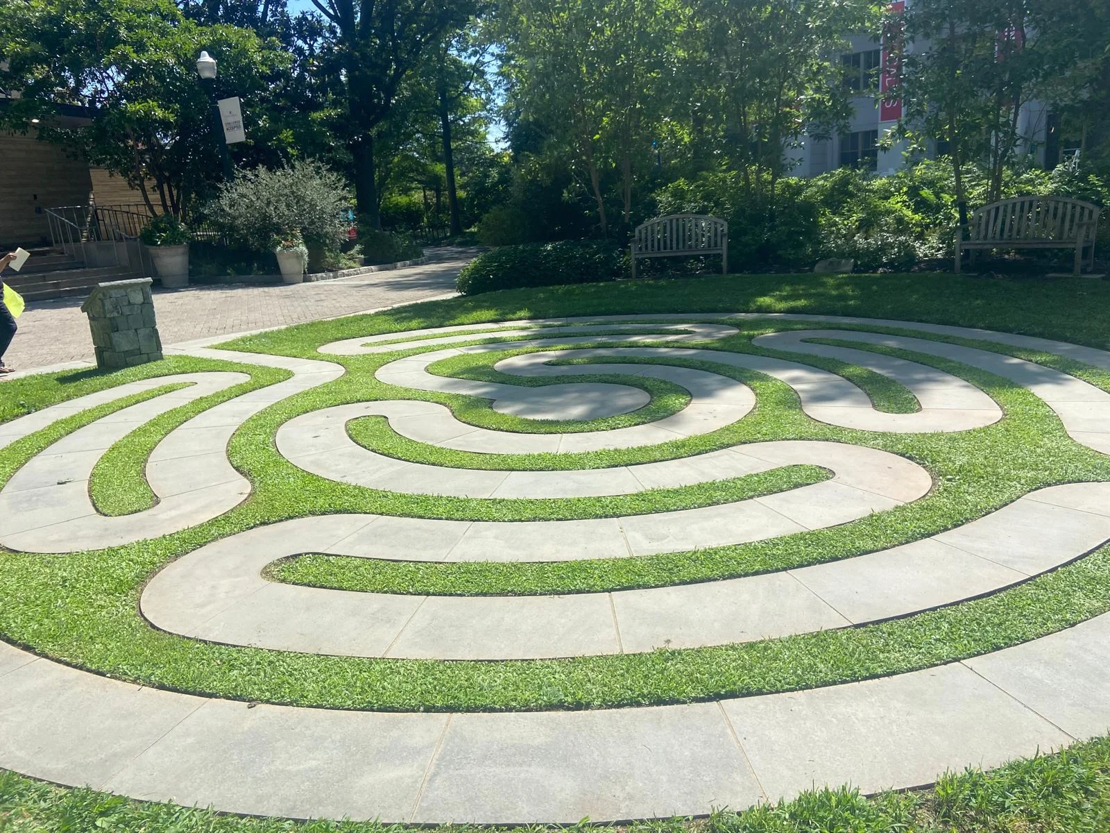 Yard Transformation in Laurel, MD